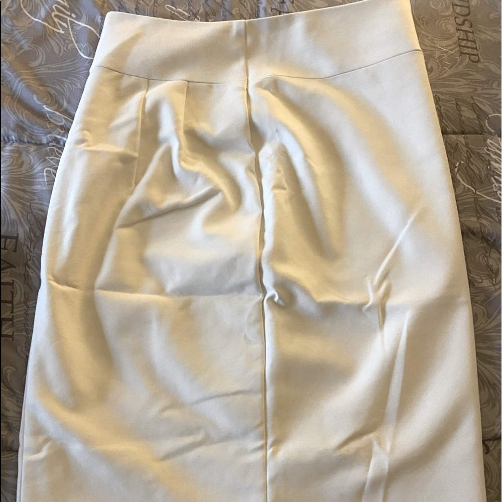 Express pencil skirt